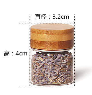 Mini Chair Modern Minimalist Sofa