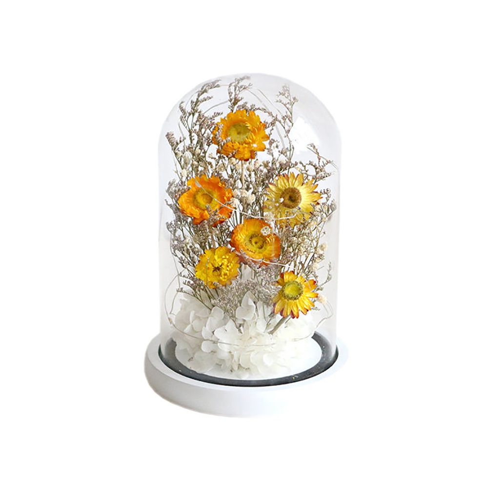 Mini Chair Modern Minimalist Sofa