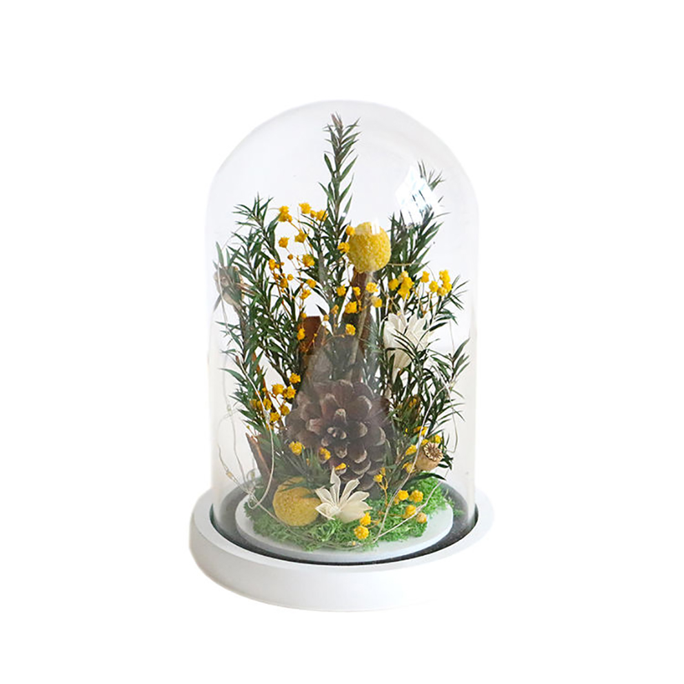 Mini Chair Modern Minimalist Sofa