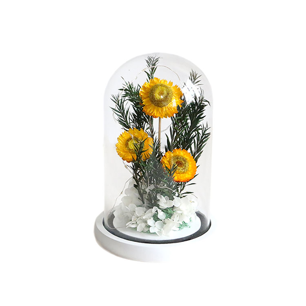 Mini Chair Modern Minimalist Sofa